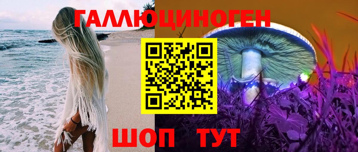 Павлово  Псилоцибиновые грибы прущие грибы  Вход с VPN 